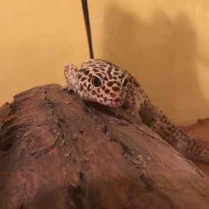 Meet your Posher, Clare